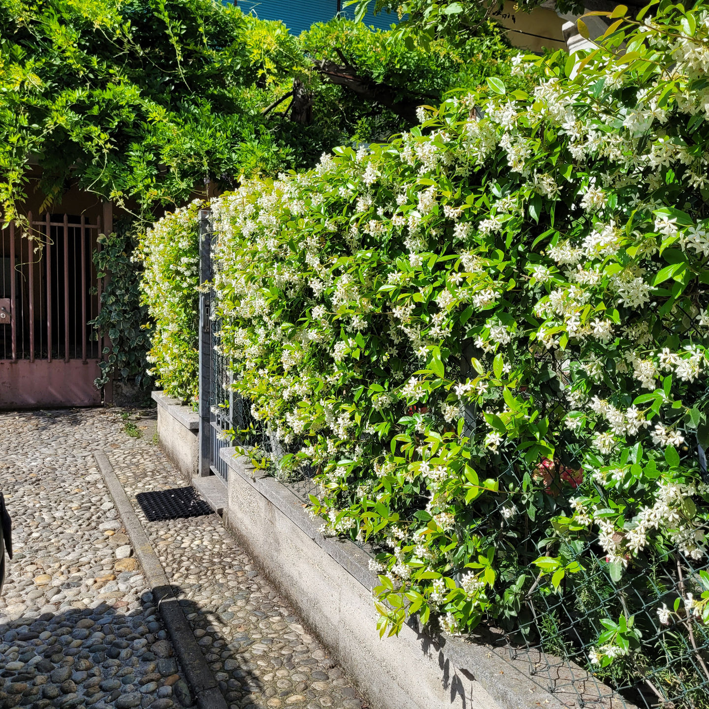 GIARDINO VIA LINCOLN