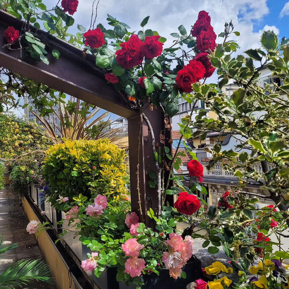 Manutenzione_verde_Milano