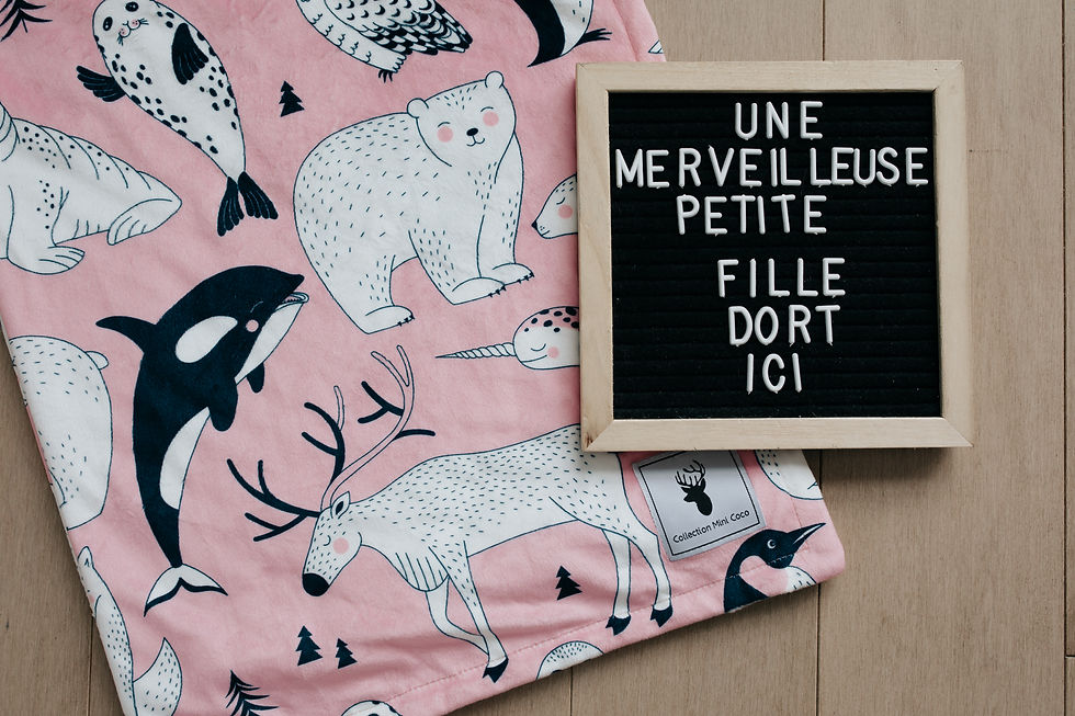 Doudou en minky | Enfant | Animaux Arctique collection de Clara