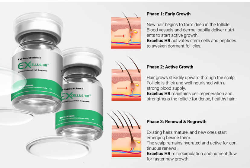 Writer: EXCELLUS-HR Advanced Stem Cell Hair Exosome