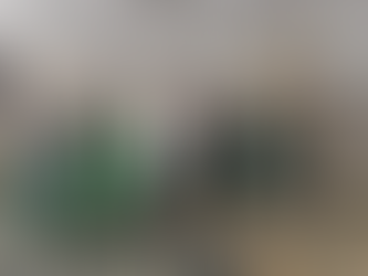 Mental Health Association: Legacy of Champions Luncheon