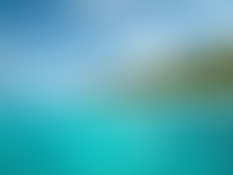 Forming a Company in Seychelles: A Guide to Company Formation in Seychelles