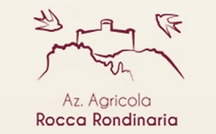 Screen Shot 2026-01-21 at 8.10.23 PM.png