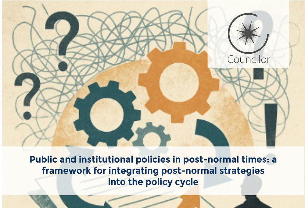 Public and institutional policies in post-normal times: a framework for ...