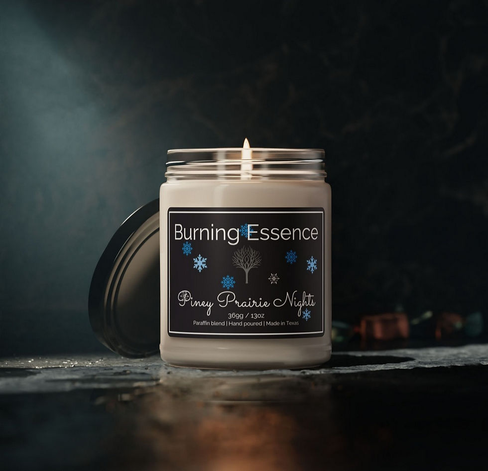 Piney Prairie Nights