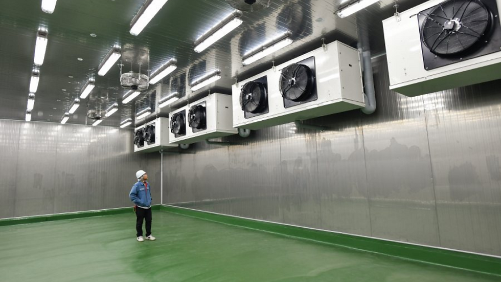 Commercial Refrigerator