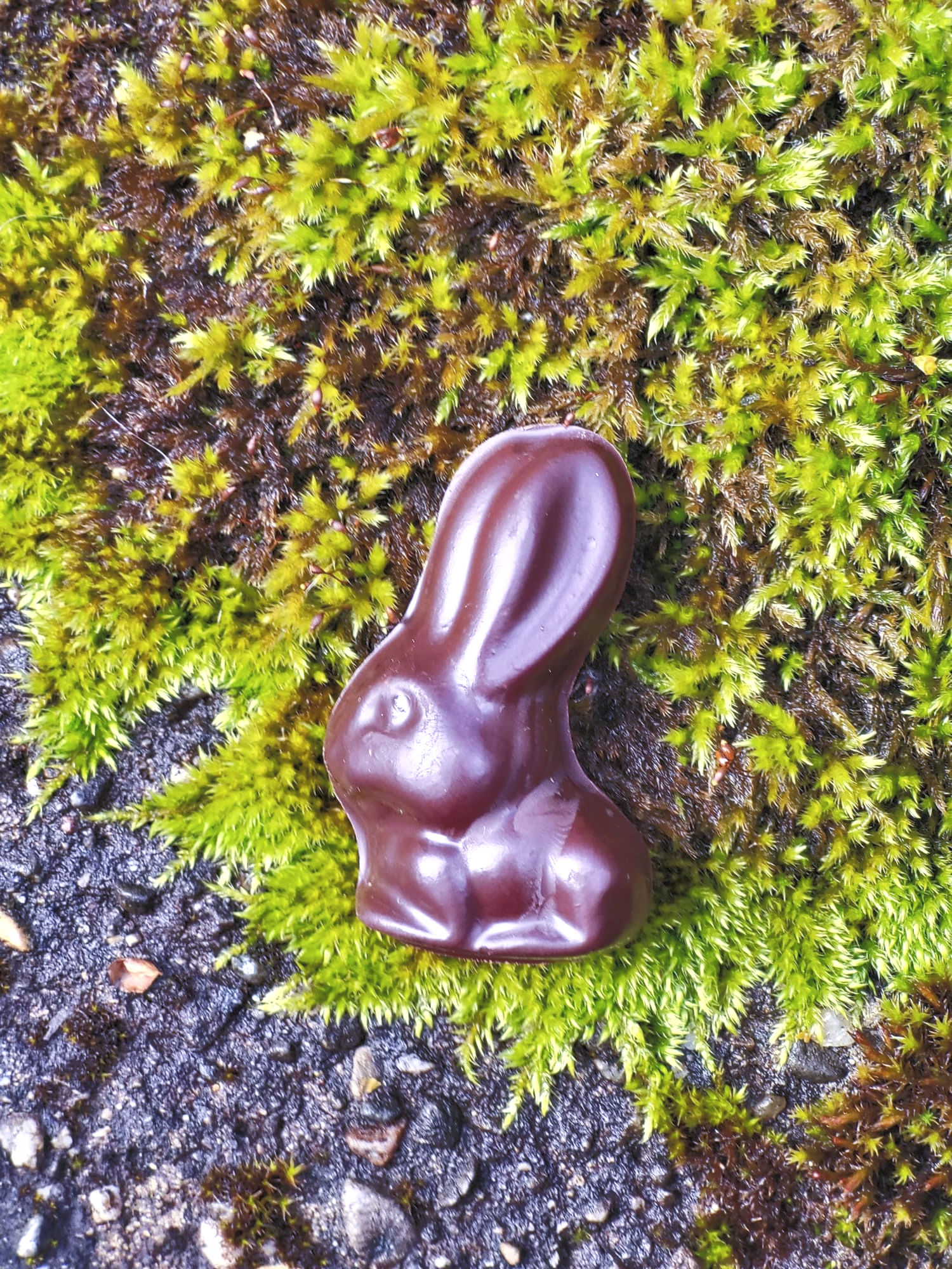 No. Åtta / Blueberry Bunnies in jar