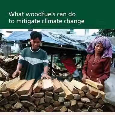 What Woodfuels Can Do To Mitigate Climate Change