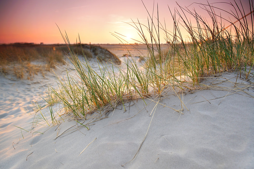 AdobeStock_202156477.jpeg