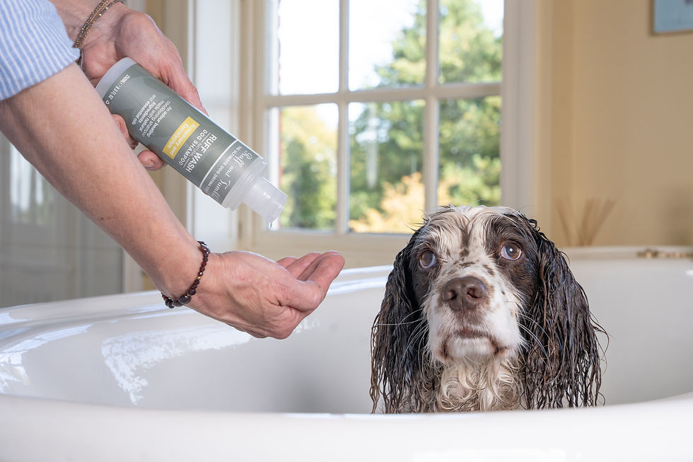 Ruff and Tumble: THEVETPHYSIOCOMPANY10