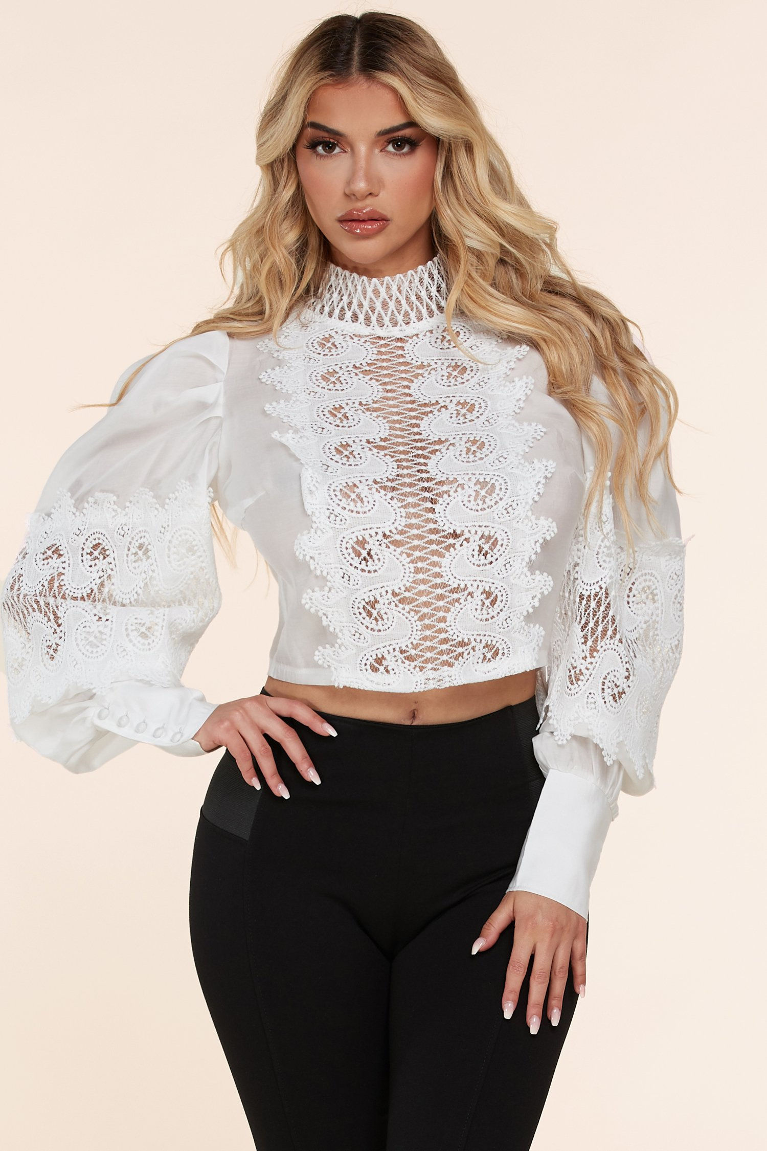 Elegant Sheer Lace Long Sleeve Top