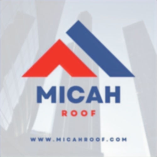Micah Roof Logo 2_edited.jpg