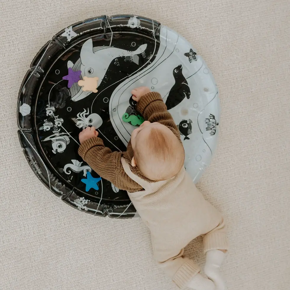 Thumbnail: Under The Sea High Contrast Sensory Water Mat