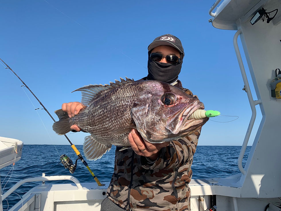 Thumbnail: 200mm 8" Dog Paddle Soft Plastics