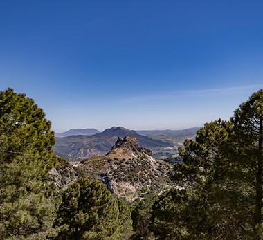 Parque natural de la Sierra de grazalema.