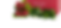 FOREST FLAME.png