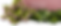 PINK.png