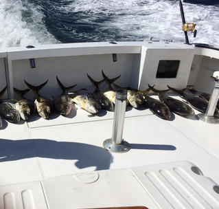 Fishing off the coast of Puerto Vallarta