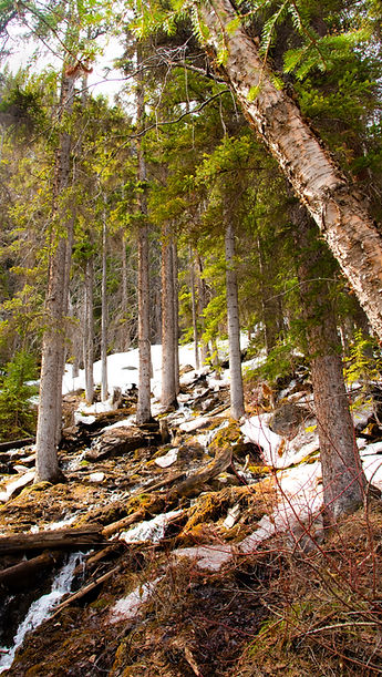 Babbling Brook 9_16.jpg