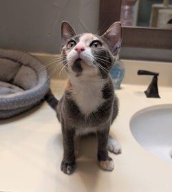 PXL_20250829_190307649_exported_291_1756520627592