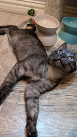 PXL_20250902_211124353_exported_408_1756857158529