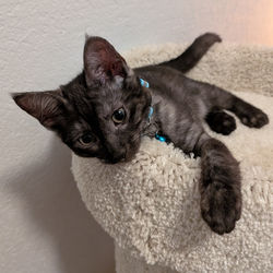 PXL_20250902_205334393.MP