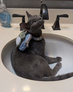 PXL_20250829_191425519