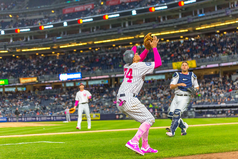 Catch Torreyes
