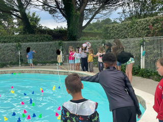 Les canards ont envahis la piscine du Camping Les Pins de Carcans !!