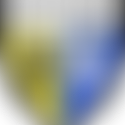 RSA : Maël De Calan doit défendre l’État de droit et le débat démocratique