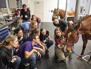 teens vet clinic.jpg