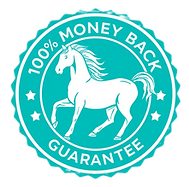 illustration 100% money back guarantee f
