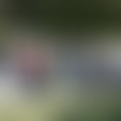 How To Change The World