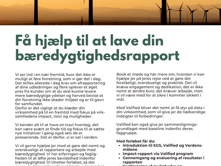 Står i også og mangler kompetencer og ressourcer til at udfører jeres ESG rapport.