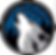 新图网_NBA明尼苏达森林狼队标志图标_ixintu.com.png