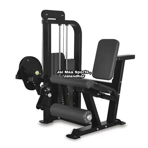 Seated Leg Extension