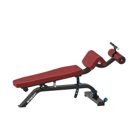Abs Crunches Bench