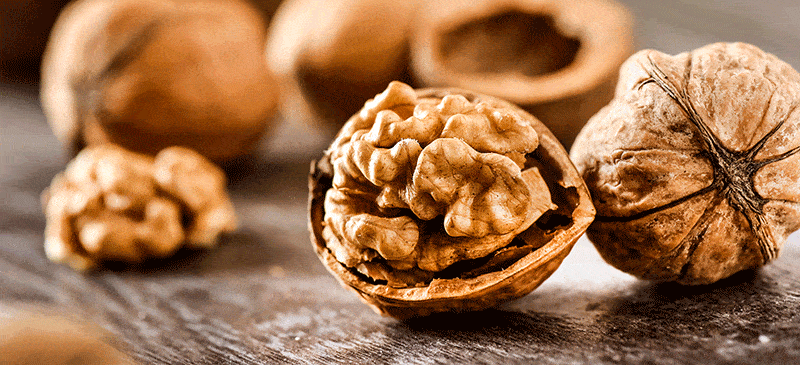 Walnut 03