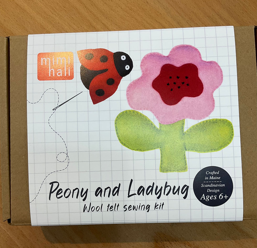 Thumbnail: Felt Sewing Kits