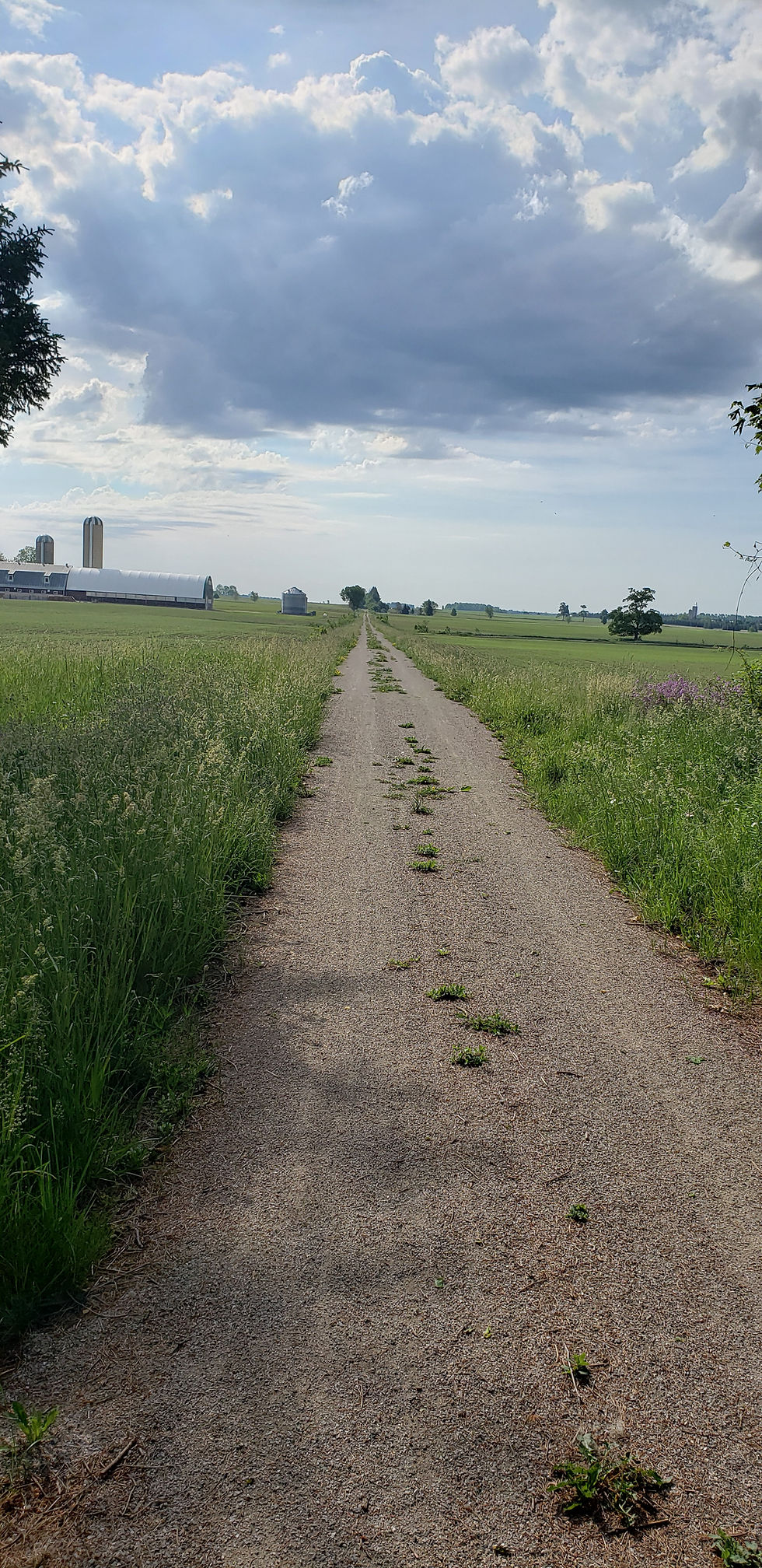 Wide open hiking trail with fields and barn