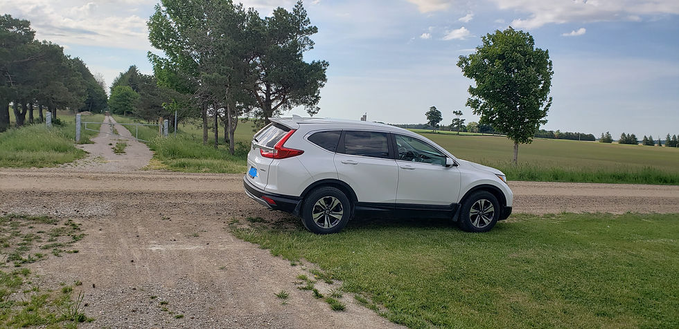 Car parked on side of dirt road
