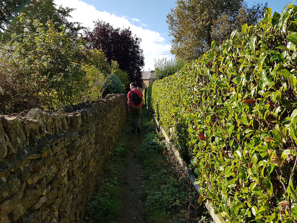 pathway for herding sheep