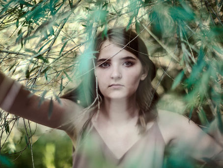 Sjamanistisch transformatie ritueel: Wanneer bomen als bondgenoten met je meewandelen...