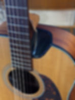 Custom made Scoop an Furch Akustik Gitarre