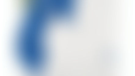 Crop top y pantalón palazzo
