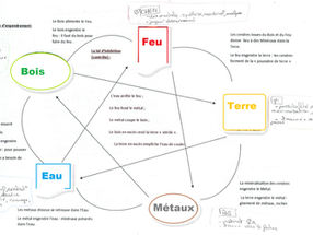 Médecine Traditionnelle Chinoise 
