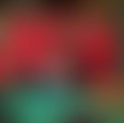 Time to say Goodbye op dé Winterfair