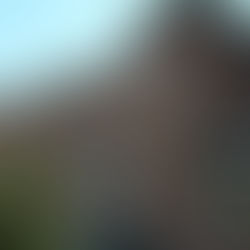 Una habitación propia