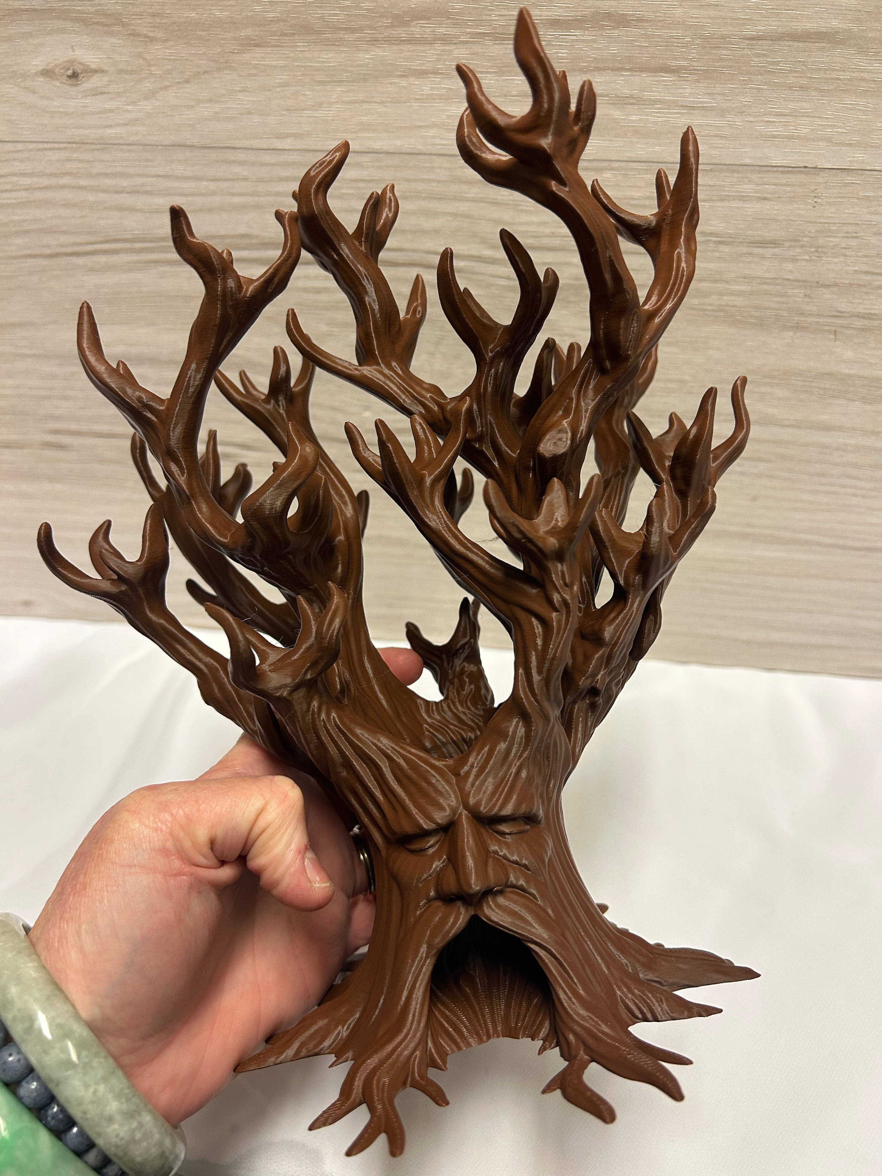 Large Wise Man Tree