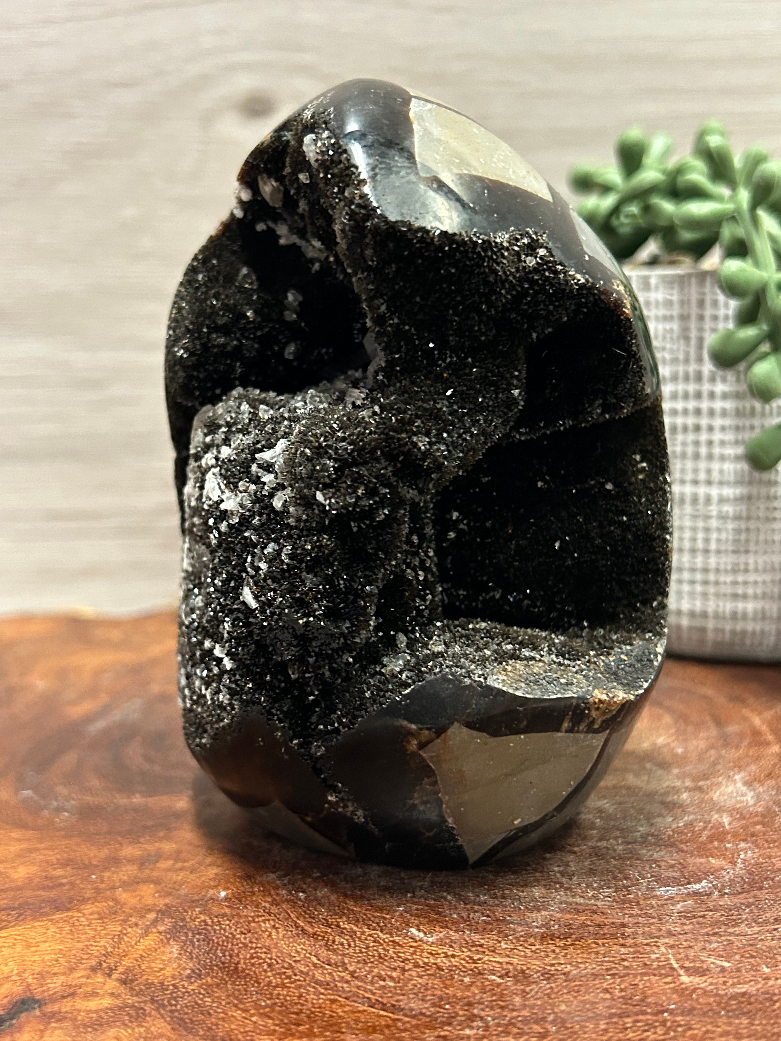 Black Druzy Septarian Freeform